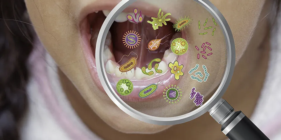 The Oral Microbiome: A Detailed Insight into the Unseen Ecosystem in Your Mouth